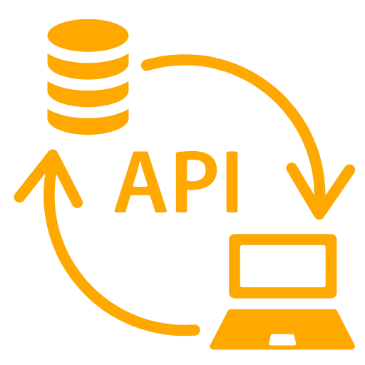 Custom API Integration